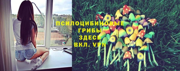 ПСИЛОЦИБИНОВЫЕ ГРИБЫ Покачи